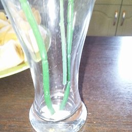 ����, ������, 42 ����