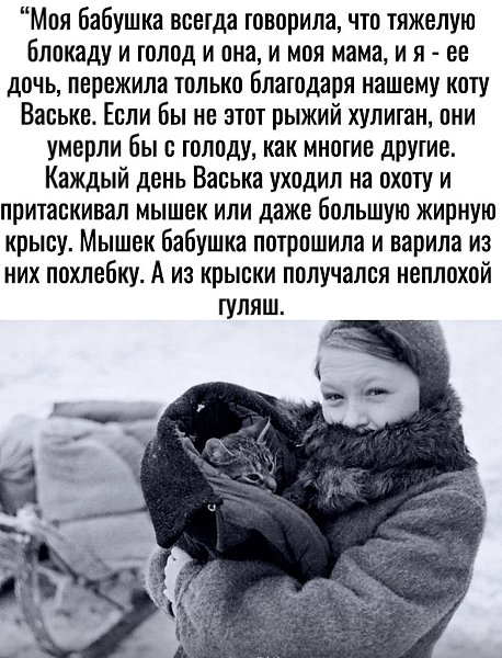 ���������� � ��������� ������� ���� ���������