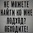 ���� No, ������ - ��������� 13 ���� 2026