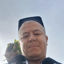 ���� Nasibjon, ������, 48 ��� - ��������� 1 ��� 2026