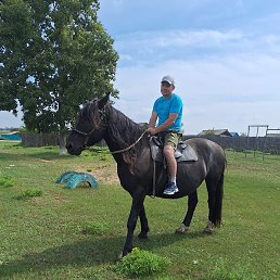 ������, ������, 45 ���