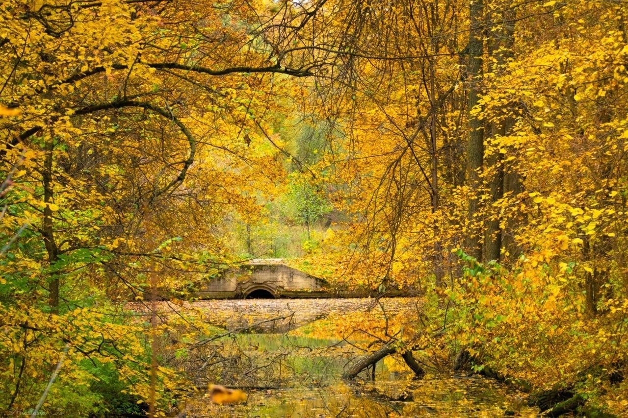 ����� ������ ����� �������������� ���������.����: ��������� ������ - 4