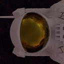 ���� ����, ������, 35 ��� - ��������� 24 ������ 2024 � ������ ���� ����������