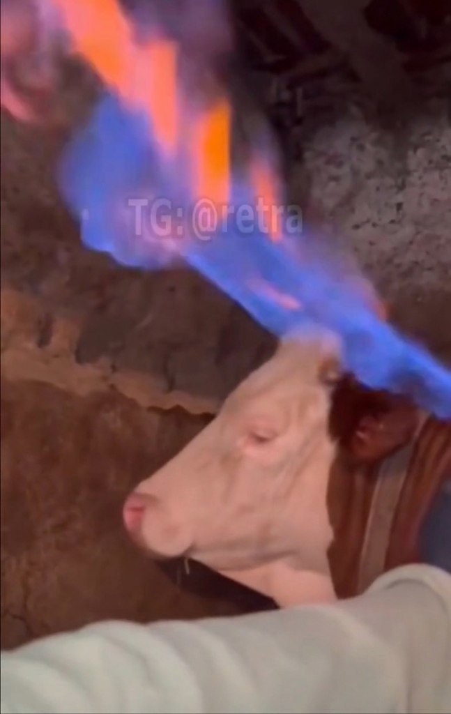 � �opo� � ���o�e �oc�o���o o�pa����c� �a��. ��o��a o�� c�a����a��c�, ��o �p��o��� � c����o�� ... - 2