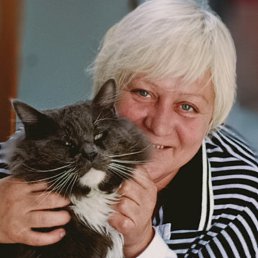 ���� ϸ��, ����, 52 ���� - ��������� 29 ��� 2025