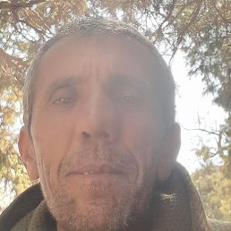 �������� ��������, �������, 49 ���