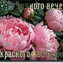 ���� �����, ������ - ��������� 29 ������ 2026 � ������ ������ ��������