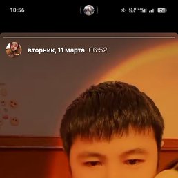 , 29, 