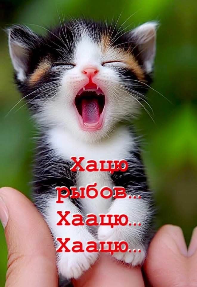 :)