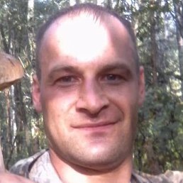 �������, �����, 43 ����