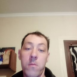 , 31, 
