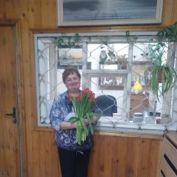 ���� ��������, ������, 66 ��� - ��������� 15 ����� 2024