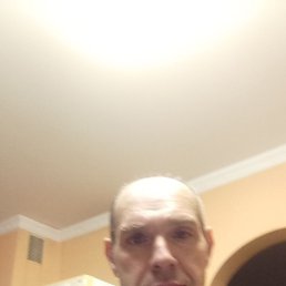 , 44, 