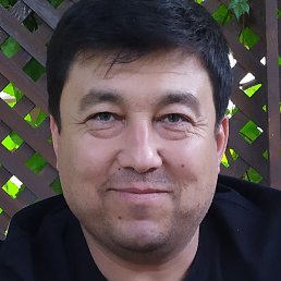 �����, ������ ��������, 44 ����