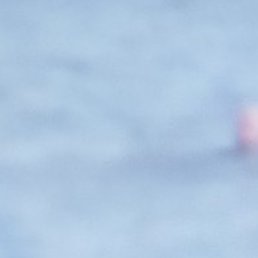 ����, �������, 52 ����