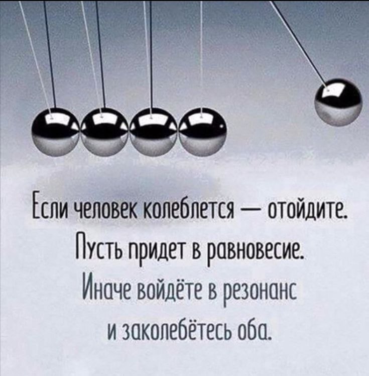   - 26  2025  11:31