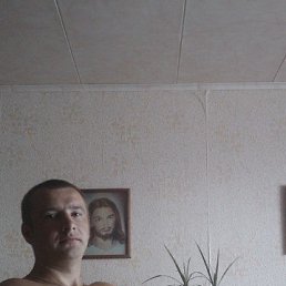 ���������, 43 ����, �������