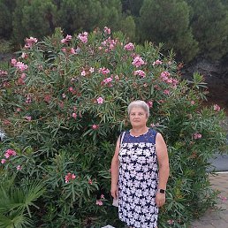 �������, ������, 68 ���