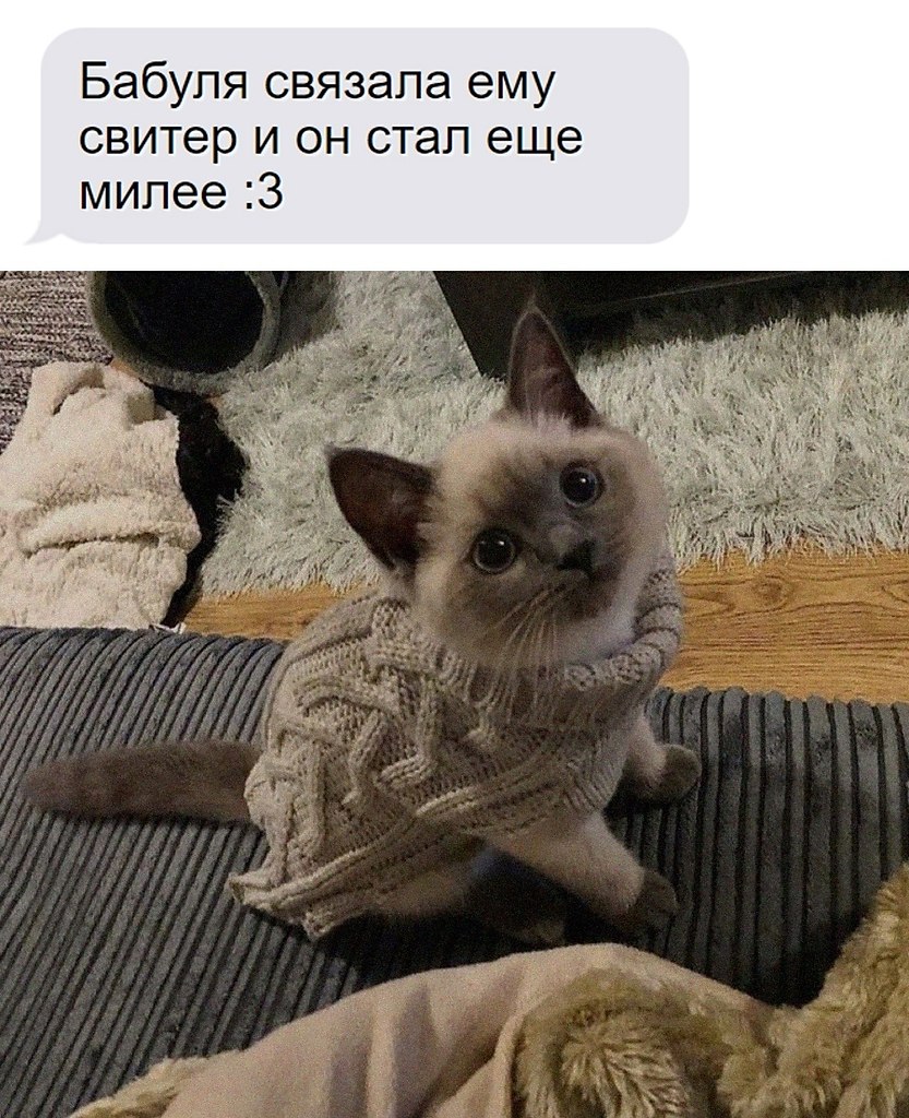    - 24  2025  00:35