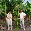 ���� �������, �����������, 60 ��� - ��������� 21 ������ 2025