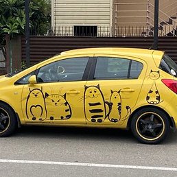 �����, ������, 44 ����