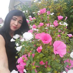 ����������, 40 ���, �����������