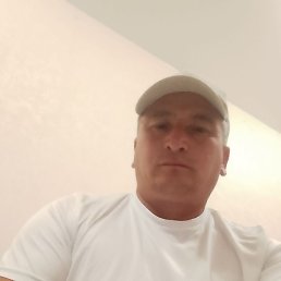 ����, �����-���������, 48 ���