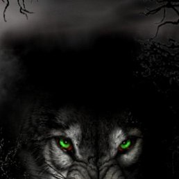 �������, ������, 40 ���