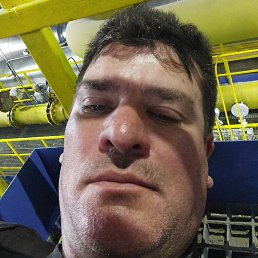 �������, �����-���������, 41 ���