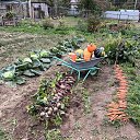 ���� �������, ������, 51 ��� - ��������� 18 ������ 2026 � ������ ���� ����������