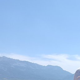 �������, ������, 53 ����