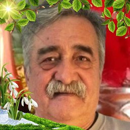 �����, ������, 67 ���