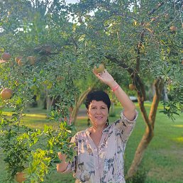 ������, �������, 62 ����