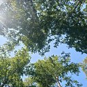 ���� �������, ����� - ��������� 9 ���� 2026