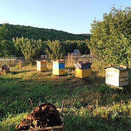 Vsal, ����, 52 ����