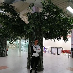 �����, ����, 35 ���