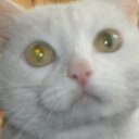 ���� ���������, ������, 53 ���� - ��������� 11 ���� 2025 � ������ ���� ����������