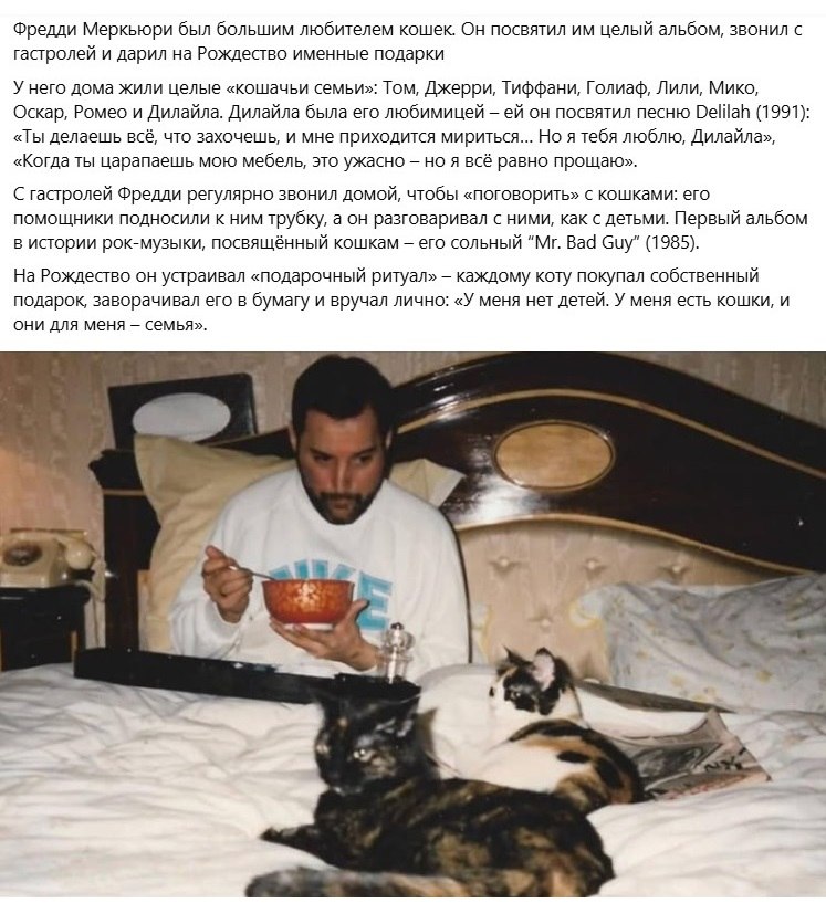 Анна Ядо - 24 октября 2025 в 20:24