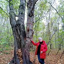 ���� ��������, ������������, 63 ���� - ��������� 20 ��� 2025 � ������ ���� ����������