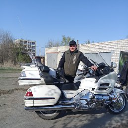 ��������, �������, 49 ���