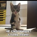 ���� �����, �����-��������� - ��������� 22 ��� 2024 � ������ ���� ����������
