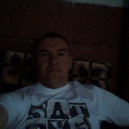, 39, 
