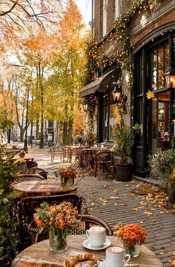     .   .    ,     ,  ...