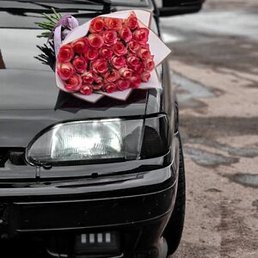 �������, ������, 19 ���