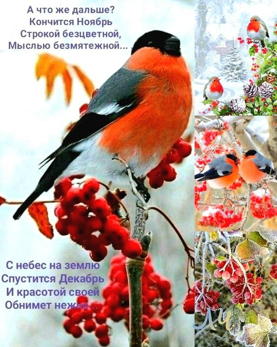 ₪╬═►  ||  ||  ◄═╬₪ - 22  2023  08:10