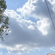 ������, 20 ���, ����������