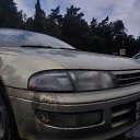 ���� ������, �����������, 31 ��� - ��������� 5 ������� 2026 � ������ ���� ����������