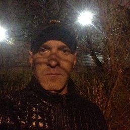 ���������, 43 ����, ����������