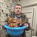 ���� ������ �������, �����, 38 ��� - ��������� 12 ��� 2024 � ������ ���� ����������