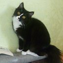 ���� ����, ����������� - ��������� 5 ������� 2025 � ������ ������ ��������